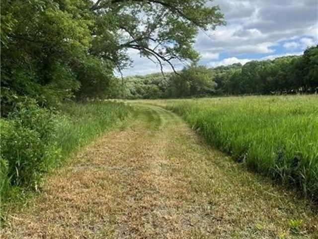 Land for sale in Osceola