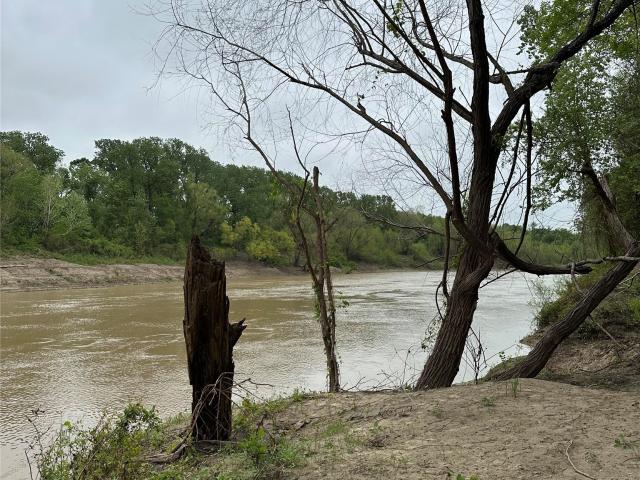 Land for sale in Leon, Texas