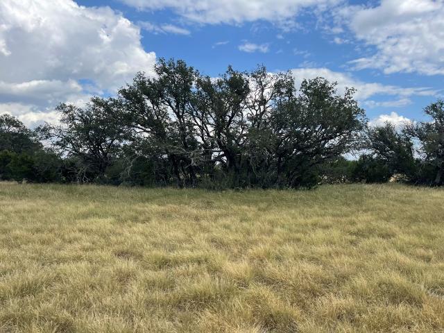 Land for sale in Eldorado, Texas