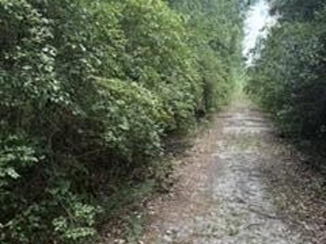 Land for sale in Starke, Florida