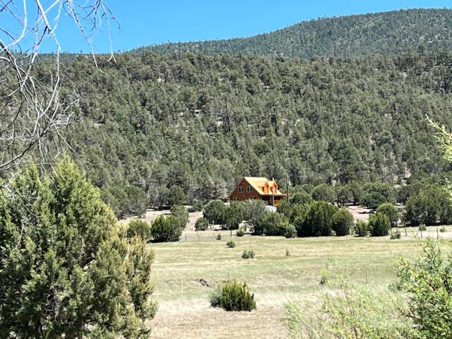 House for sale in Catron, New Mexico