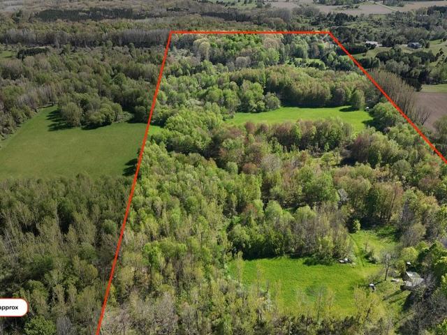 Land for sale in Custer Township, Mason County