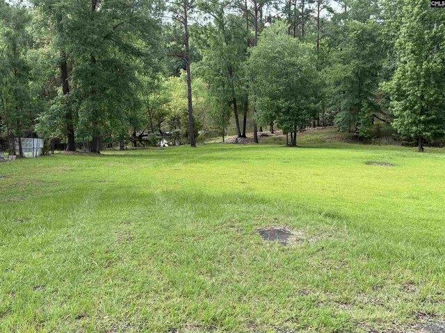Land for sale in Ridgeway, South Carolina