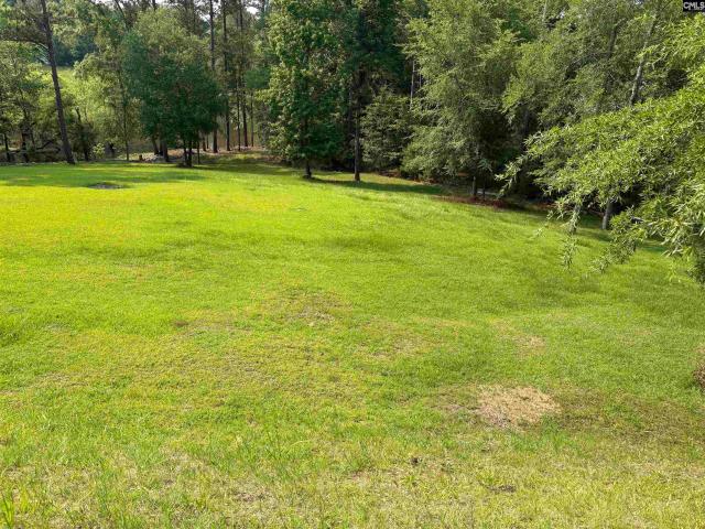Land for sale in Ridgeway, South Carolina