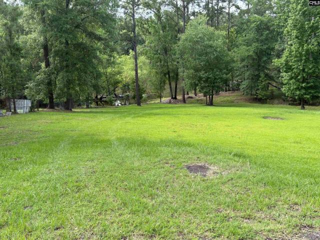 Land for sale in Ridgeway, South Carolina