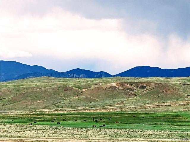 Land for sale in Hartsel, Park County