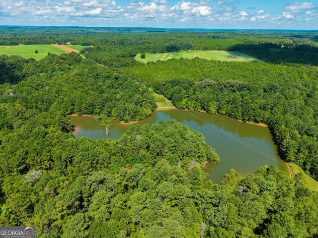 Land for sale in Stewart, Georgia