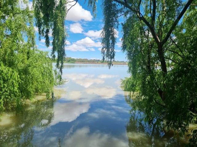 Cottage for sale in Tailem Bend, South Australia