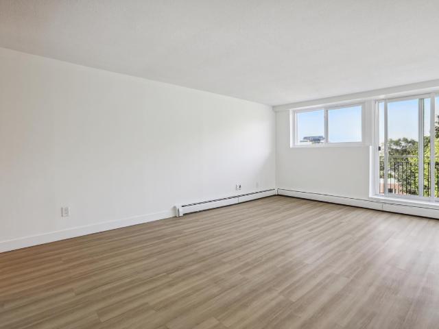 Apartment for rent in Chinatown, Ottawa