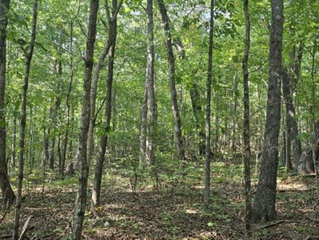 Farm for sale in Tennessee