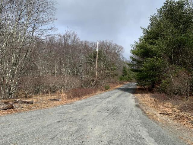 Land for sale in Delaware Township, Pike County