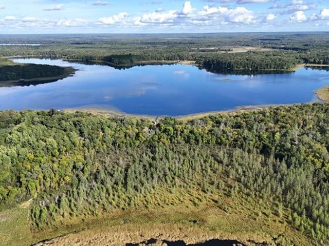 Land for sale in Backus, Cass County
