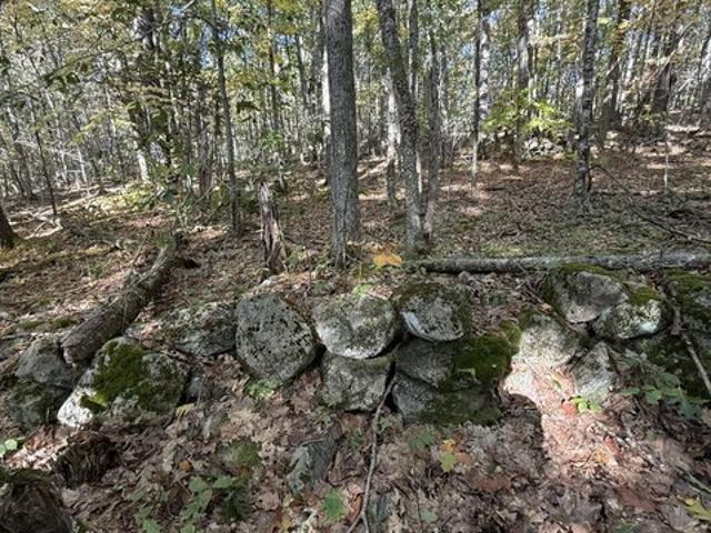 Land for sale in Washington, Knox County