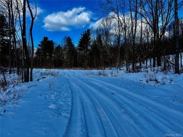 Land for sale in Chatham, New York