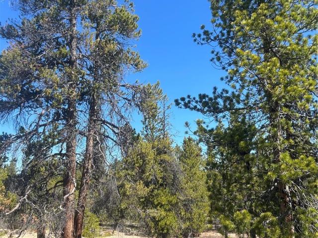 Land for sale in Leadville, Colorado
