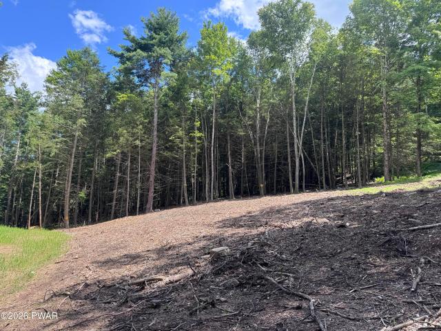 Land for sale in Equinunk, Pennsylvania
