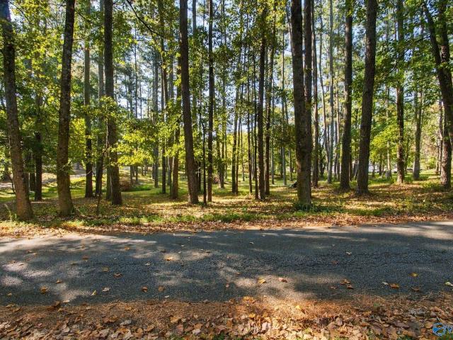 Land for sale in Harvest, Alabama