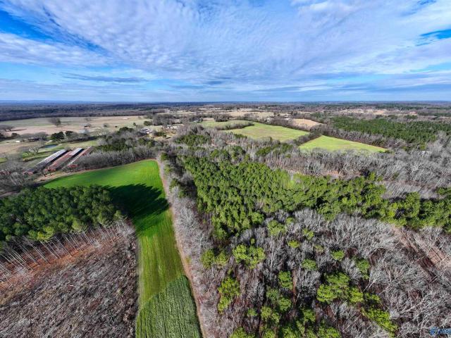 Land for sale in Moulton, Alabama