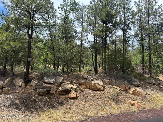 Land for sale in Navajo, Arizona