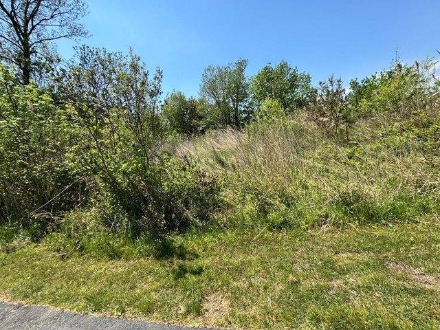 Land for sale in Chincoteague, Accomack County