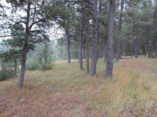 Land for sale in Hot Springs, South Dakota