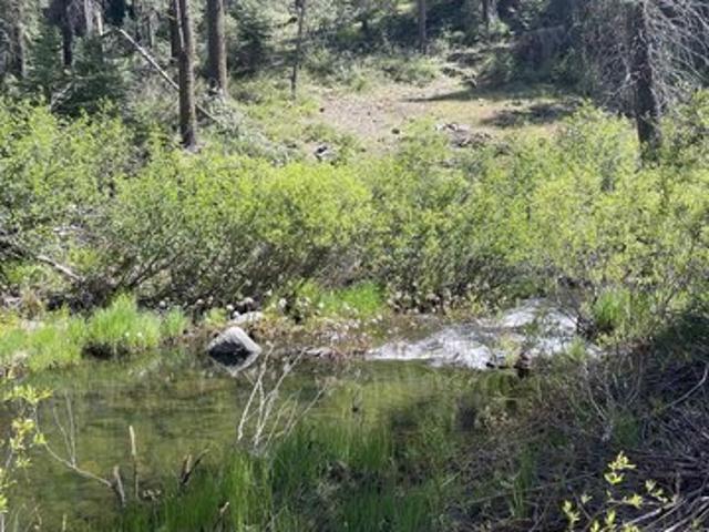 Land for sale in Long Barn, California