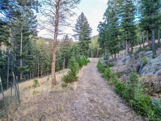 Land for sale in Evergreen, Colorado