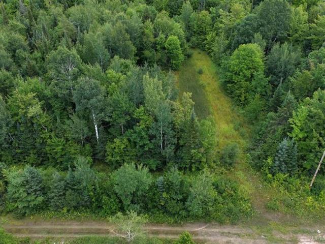 Land for sale in Michigan