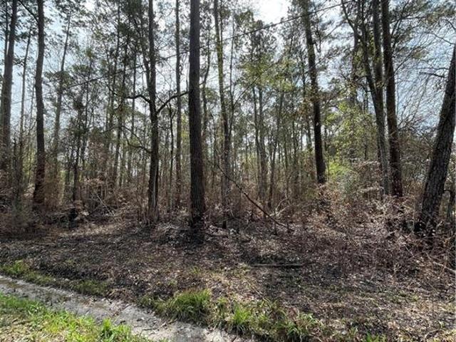 Land for sale in Lacombe, Louisiana