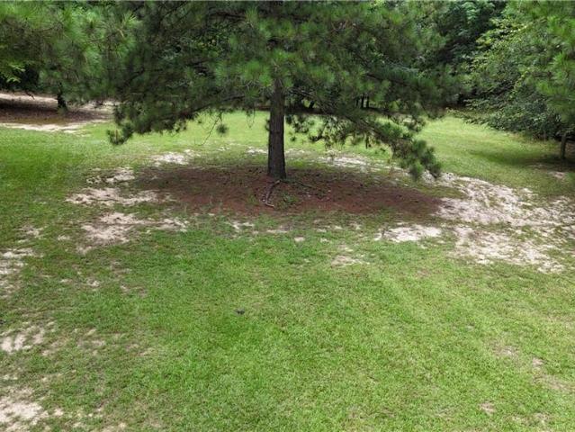 Land for sale in Georgia