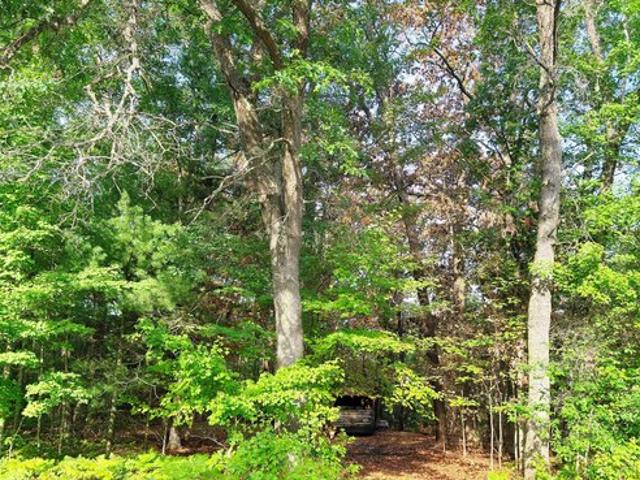 Land for sale in Chase, Michigan