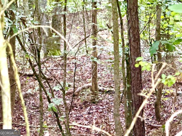 Land for sale in Pendergrass, Georgia