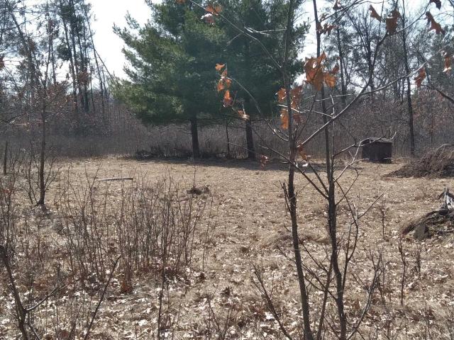 Land for sale in Wisconsin