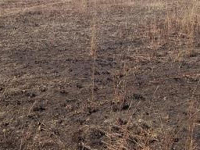 Land for sale in Gert Sibande, Mpumalanga