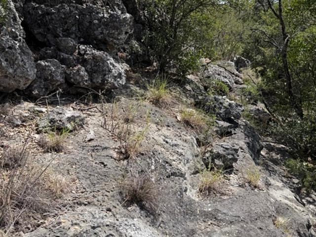 Farm for sale in Edwards, Texas