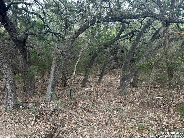 Land for sale in Bandera