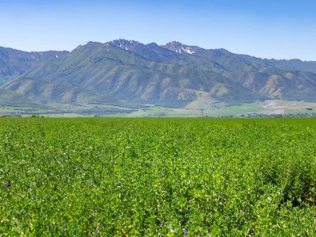 Land for sale in Cache, Utah
