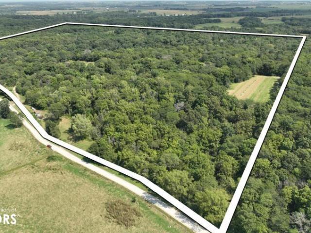 Land for sale in Letts, Iowa