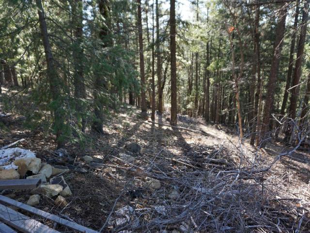 Land for sale in Quincy, California