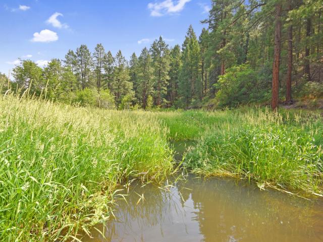 House for sale in Jemez Springs, New Mexico