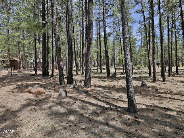 Land for sale in Navajo, Arizona
