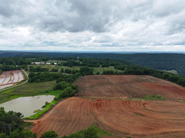 Land for sale in Steele, Alabama