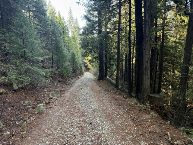 Property for sale in Nevada City, California