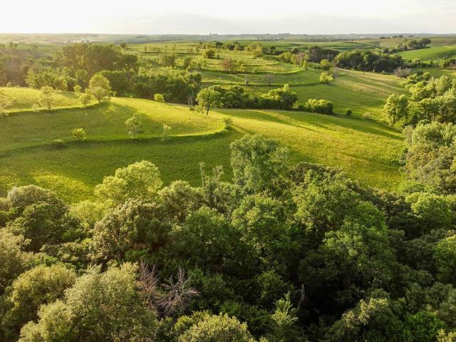 Farm for sale in Arion, Iowa