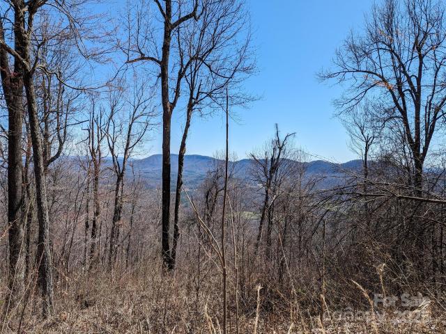 Land for sale in Black Mountain, North Carolina