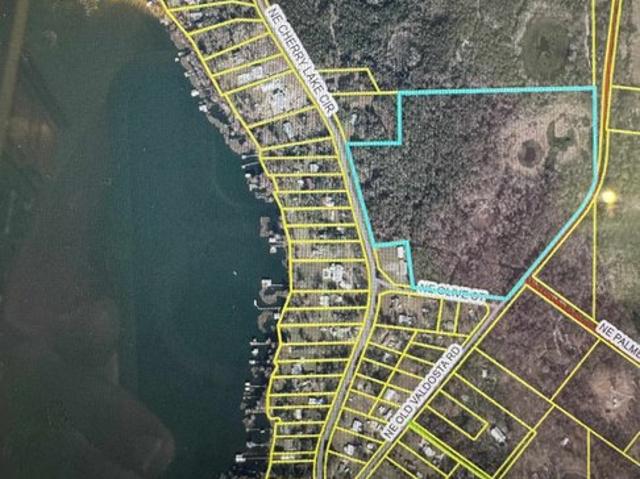Land for sale in Pinetta, Florida