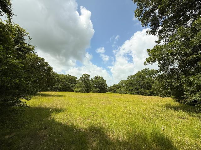 Land for sale in Leon, Texas