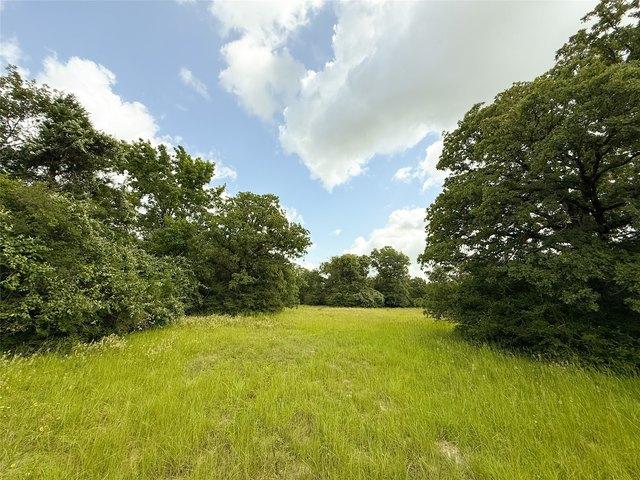 Land for sale in Leon, Texas