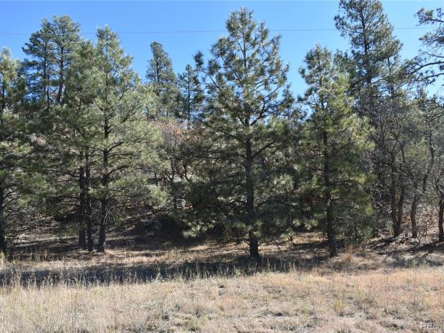 Land for sale in Weston, Colorado