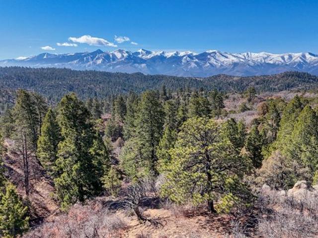 Land for sale in Cotopaxi, Colorado